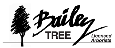 Bailey Tree, Logo